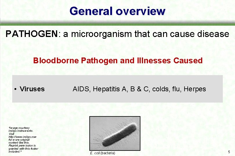 General overview PATHOGEN: a microorganism that can cause disease Bloodborne Pathogen and Illnesses Caused