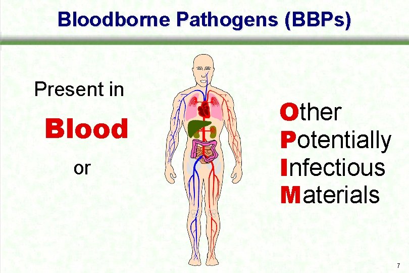 Bloodborne Pathogens (BBPs) Present in Blood or Other Potentially Infectious Materials 7 