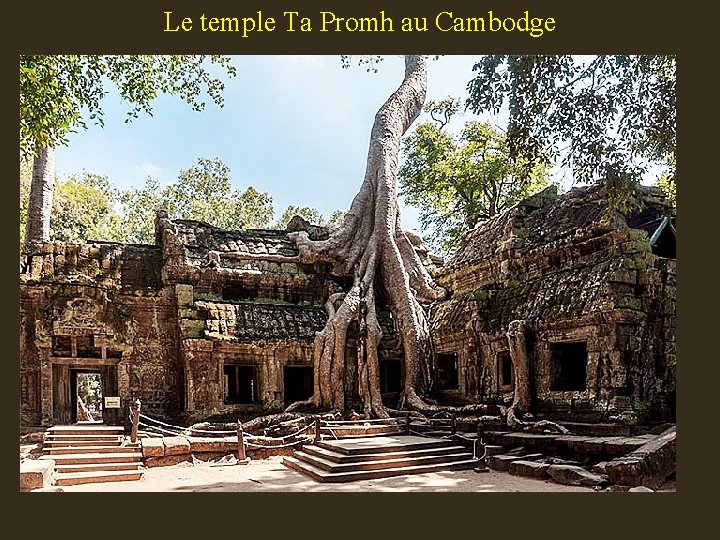 Le temple Ta Promh au Cambodge 