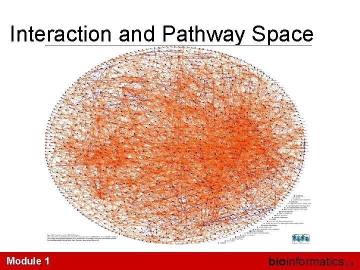 Interaction and Pathway Space Module 1 bioinformatics. ca 