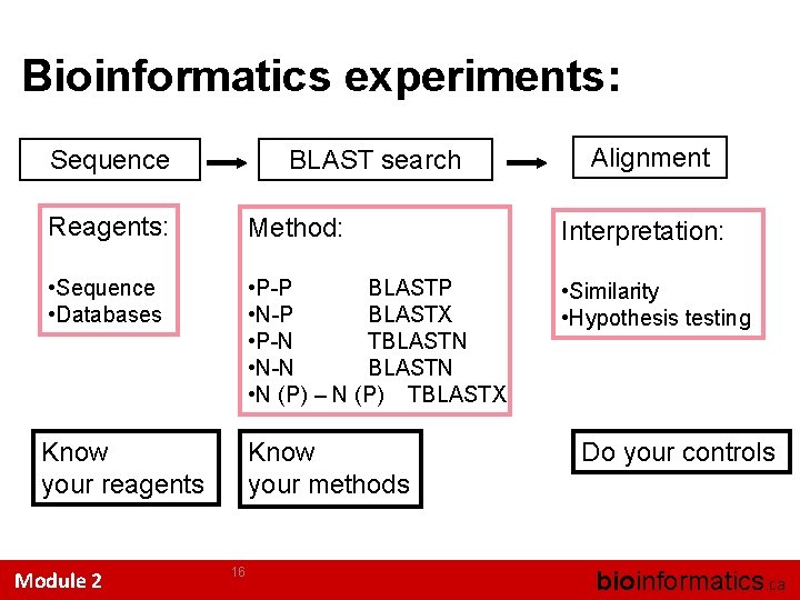 Bioinformatics experiments: Sequence BLAST search Alignment Reagents: Method: Interpretation: • Sequence • Databases •