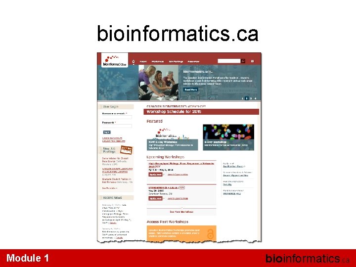 bioinformatics. ca Module 1 bioinformatics. ca 