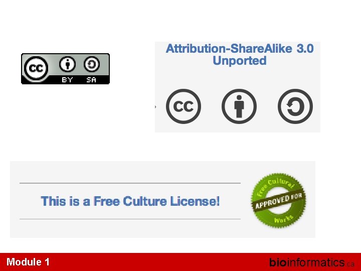 Module 1 bioinformatics. ca 