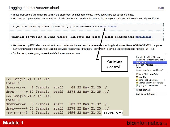 On Mac: Control+ CBWNY. pem Module 1 bioinformatics. ca 