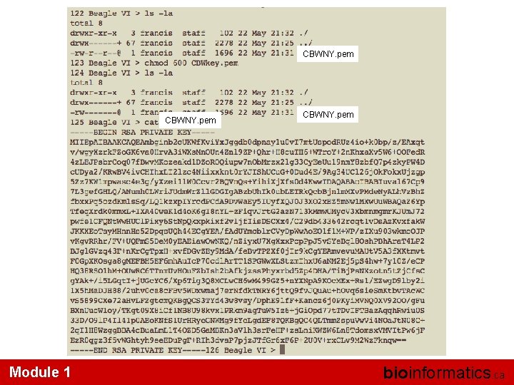 CBWNY. pem Module 1 CBWNY. pem bioinformatics. ca 