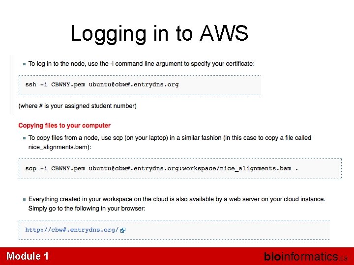 Logging in to AWS Module 1 bioinformatics. ca 