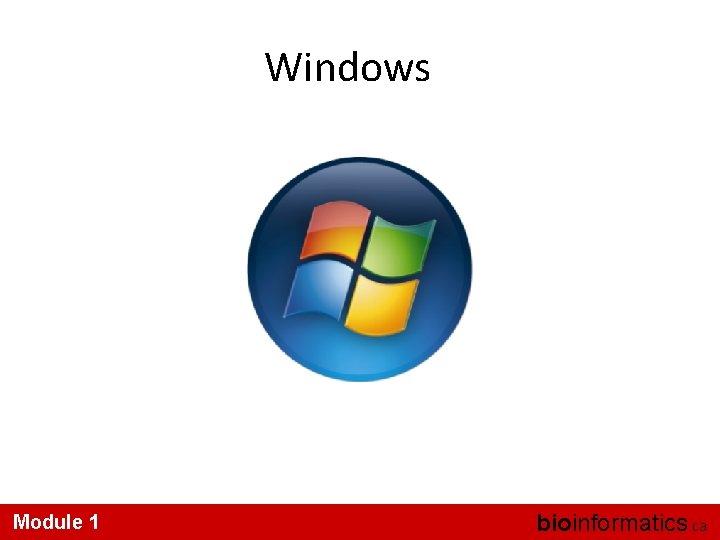 Windows Module 1 bioinformatics. ca 