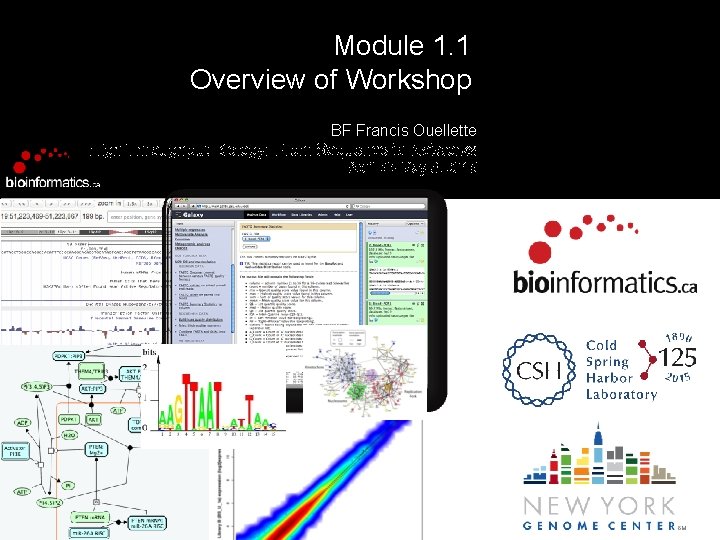 Module 1. 1 Overview of Workshop BF Francis Ouellette High Throughput Biology: From Sequence