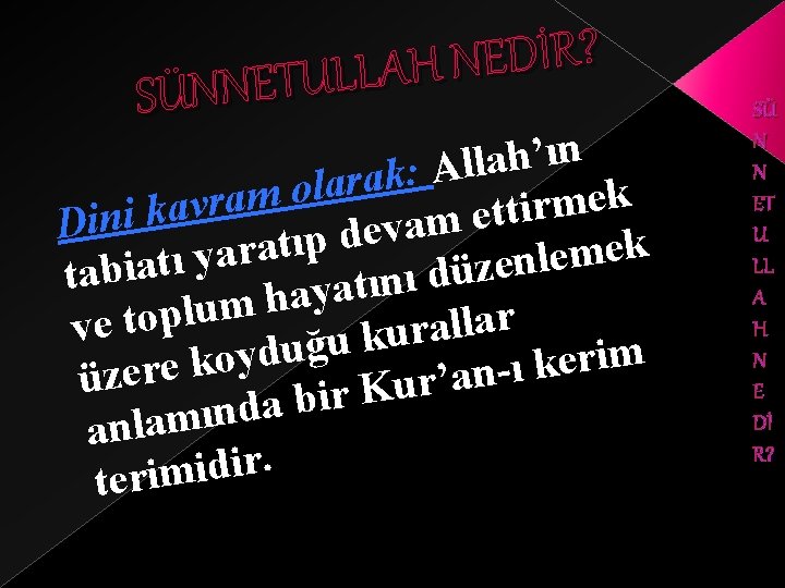 ? R İ D E N H A L L U SÜNNET n ı