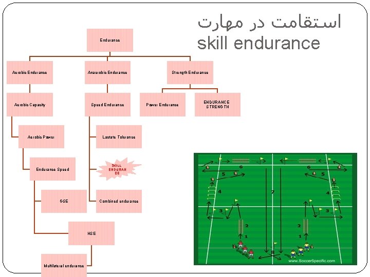  ﺍﺳﺘﻘﺎﻣﺖ ﺩﺭ ﻣﻬﺎﺭﺕ skill endurance Endurance Aerobic Endurance Anaerobic Endurance Aerobic Capacity Speed