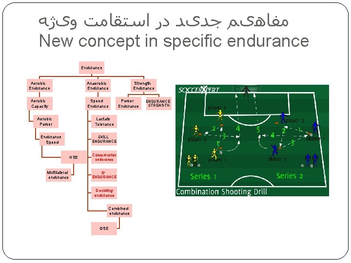  ﻣﻔﺎﻫیﻢ ﺟﺪیﺪ ﺩﺭ ﺍﺳﺘﻘﺎﻣﺖ ﻭیژﻪ New concept in specific endurance Endurance Aerobic Endurance