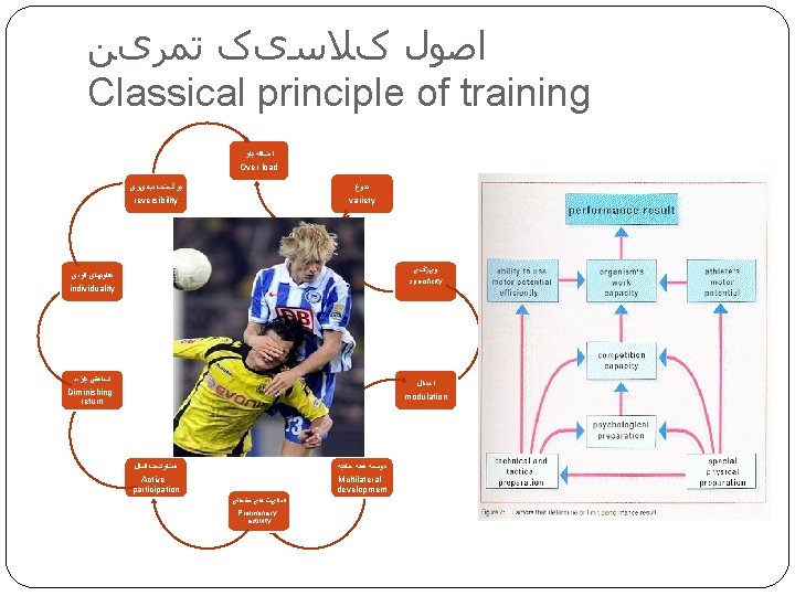  ﺍﺻﻮﻝ کﻼﺳیک ﺗﻤﺮیﻦ Classical principle of training ﺍﺿﺎﻓﻪ ﺑﺎﺭ Over load ﺑﺮگﺸﺖ پﺬیﺮی