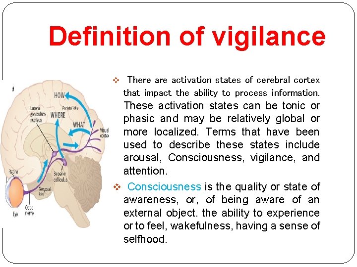 Definition of vigilance v There activation states of cerebral cortex that impact the ability