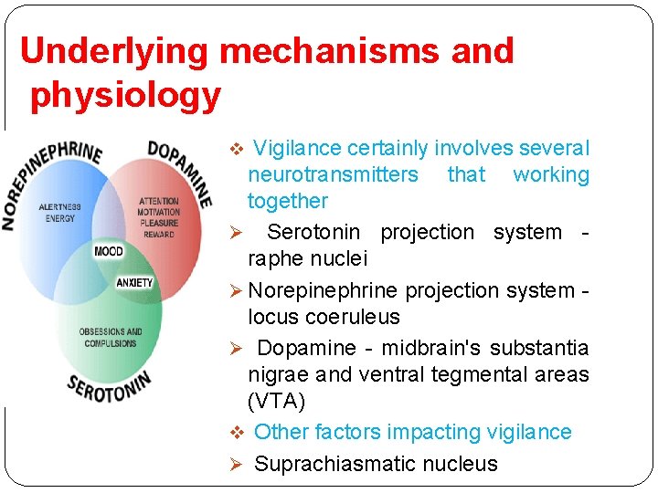 Underlying mechanisms and physiology Vigilance certainly involves several neurotransmitters that working together Ø Serotonin