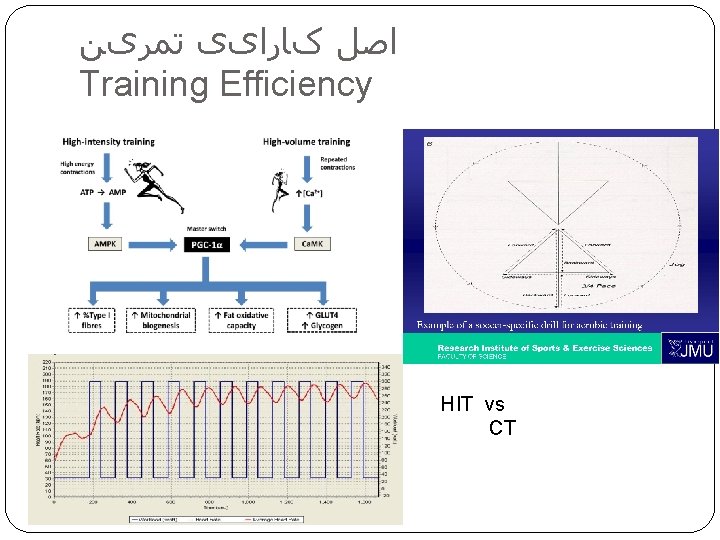  ﺍﺻﻞ کﺎﺭﺍیی ﺗﻤﺮیﻦ Training Efficiency HIT vs CT 