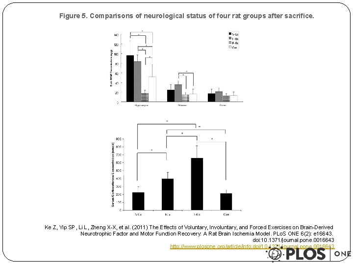 Figure 5. Comparisons of neurological status of four rat groups after sacrifice. Ke Z,