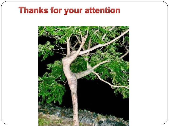 Thanks for your attention 