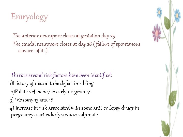 Emryology The anterior neuropore closes at gestation day 25. The caudal neuropore closes at