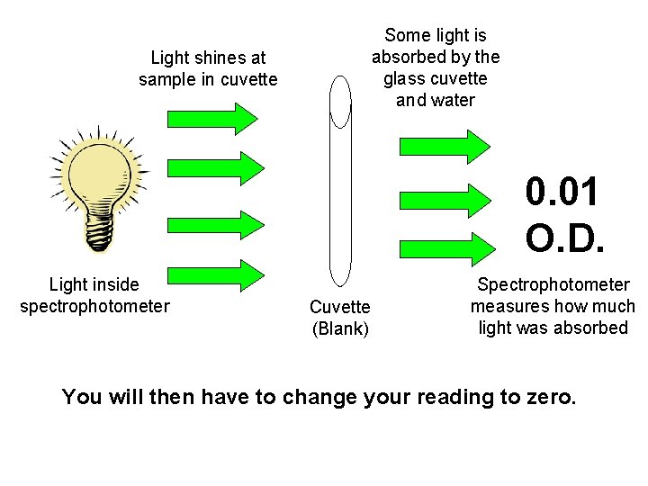 Understanding Blanks Using Spectrophotometers and Balances Institute for