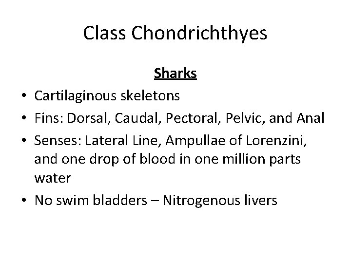 Class Chondrichthyes • • Sharks Cartilaginous skeletons Fins: Dorsal, Caudal, Pectoral, Pelvic, and Anal