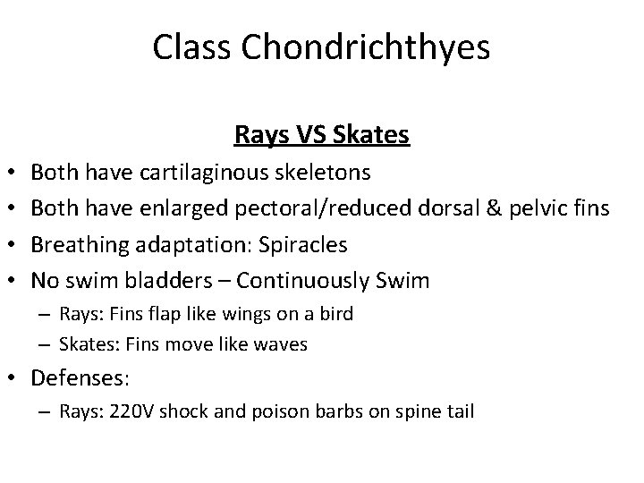 Class Chondrichthyes Rays VS Skates • • Both have cartilaginous skeletons Both have enlarged