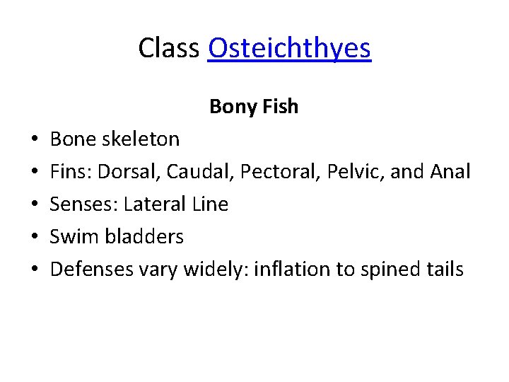 Class Osteichthyes Bony Fish • • • Bone skeleton Fins: Dorsal, Caudal, Pectoral, Pelvic,