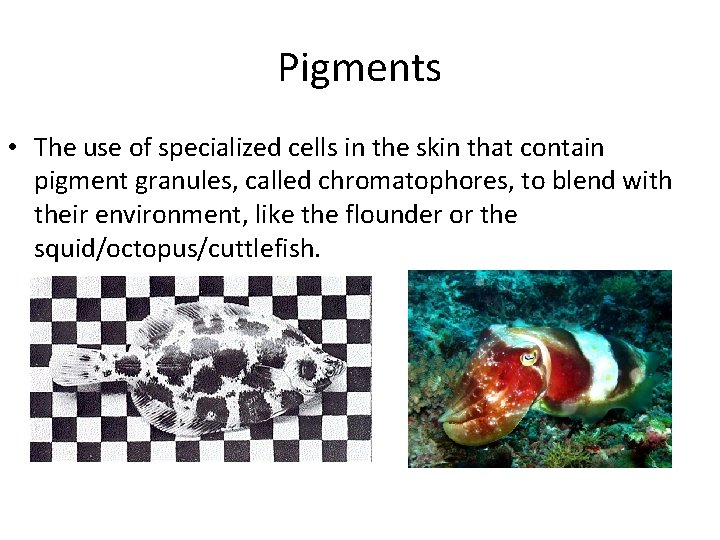 Pigments • The use of specialized cells in the skin that contain pigment granules,