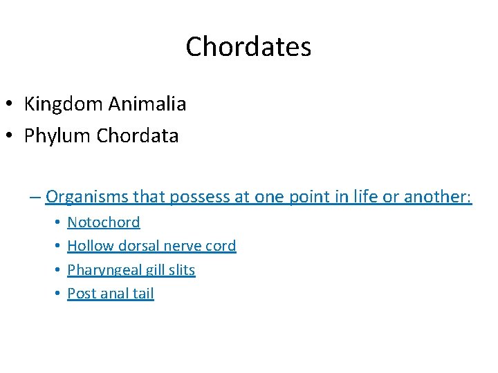 Chordates • Kingdom Animalia • Phylum Chordata – Organisms that possess at one point