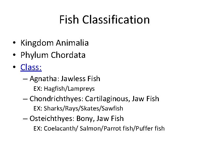 Fish Classification • Kingdom Animalia • Phylum Chordata • Class: – Agnatha: Jawless Fish