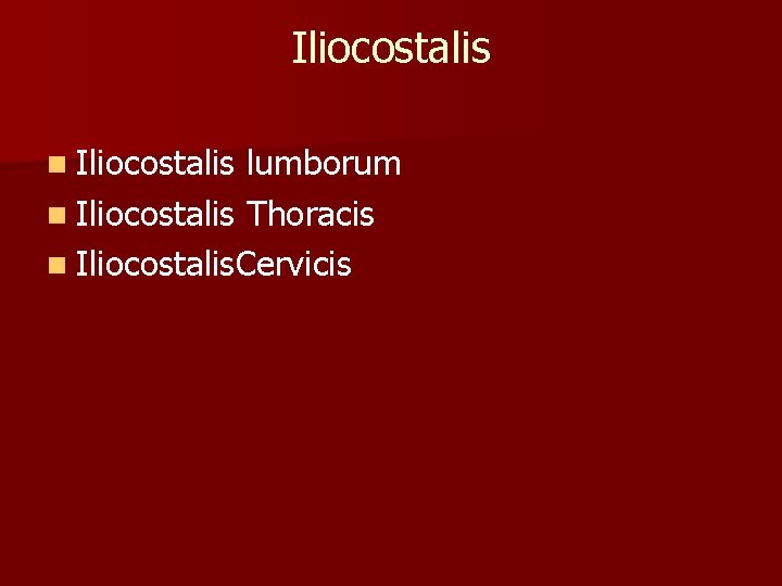 Iliocostalis n Iliocostalis lumborum n Iliocostalis Thoracis n Iliocostalis. Cervicis 
