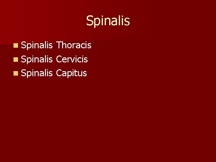 Spinalis n Spinalis Thoracis n Spinalis Cervicis n Spinalis Capitus 