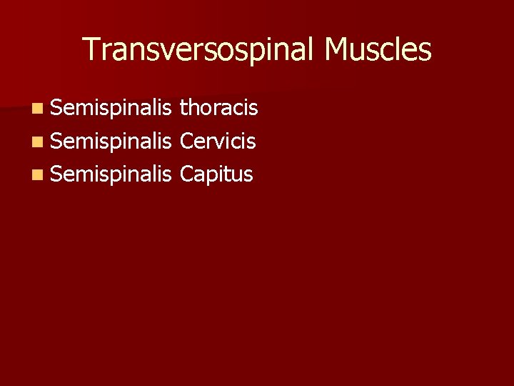 Transversospinal Muscles n Semispinalis thoracis n Semispinalis Cervicis n Semispinalis Capitus 