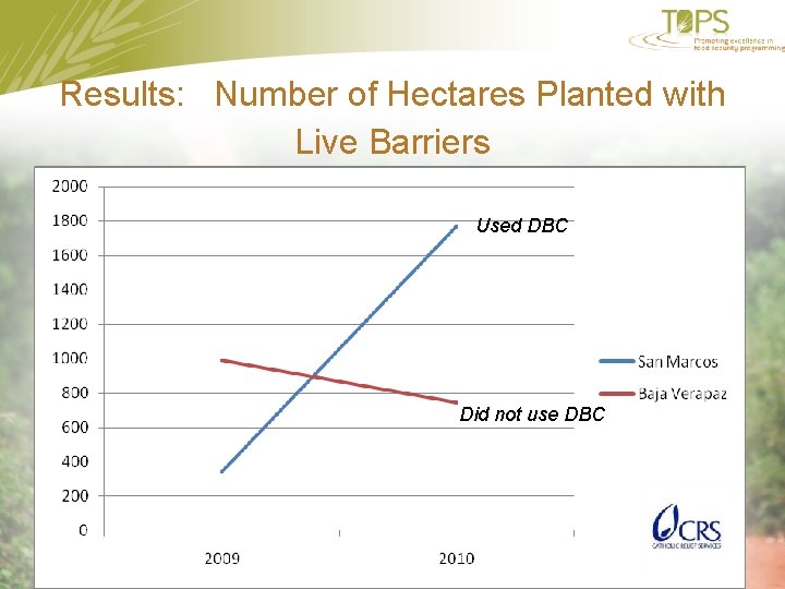 Results: Number of Hectares Planted with Live Barriers Used DBC Did not use DBC