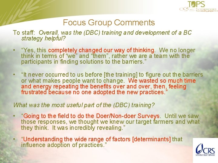 Focus Group Comments To staff: Overall, was the (DBC) training and development of a