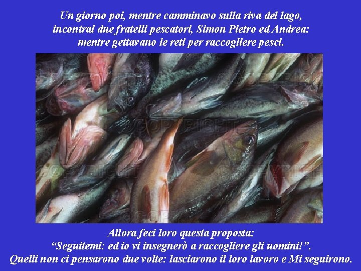 Un giorno poi, mentre camminavo sulla riva del lago, incontrai due fratelli pescatori, Simon