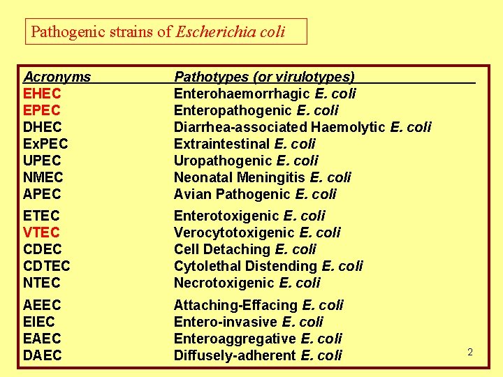 Pathogenic strains of Escherichia coli Acronyms EHEC EPEC DHEC Ex. PEC UPEC NMEC APEC