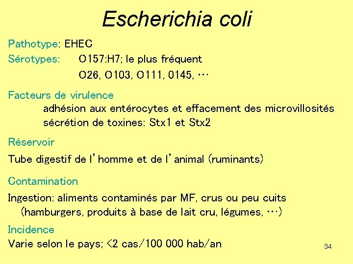 Escherichia coli Pathotype: EHEC Sérotypes: O 157: H 7; le plus fréquent O 26,