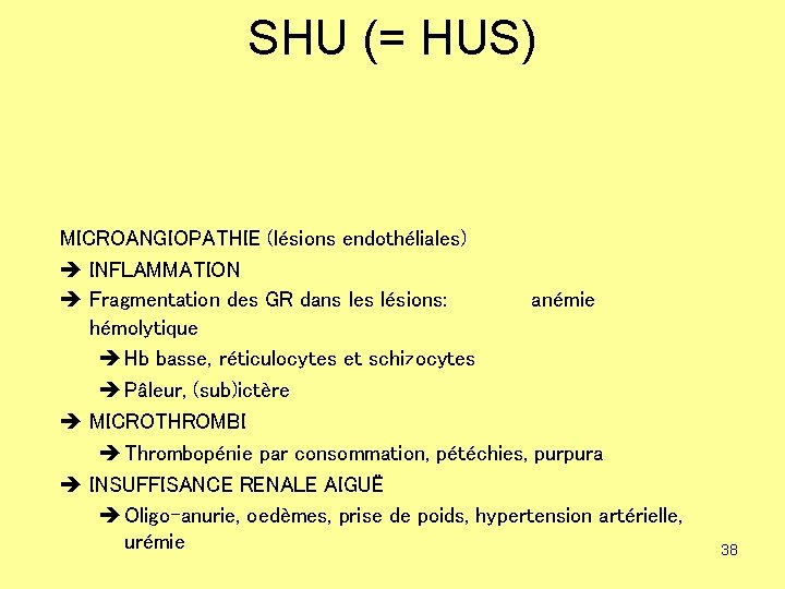 SHU (= HUS) MICROANGIOPATHIE (lésions endothéliales) è INFLAMMATION è Fragmentation des GR dans les