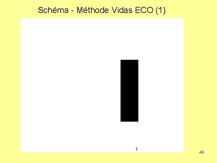 Schéma - Méthode Vidas ECO (1) 46 