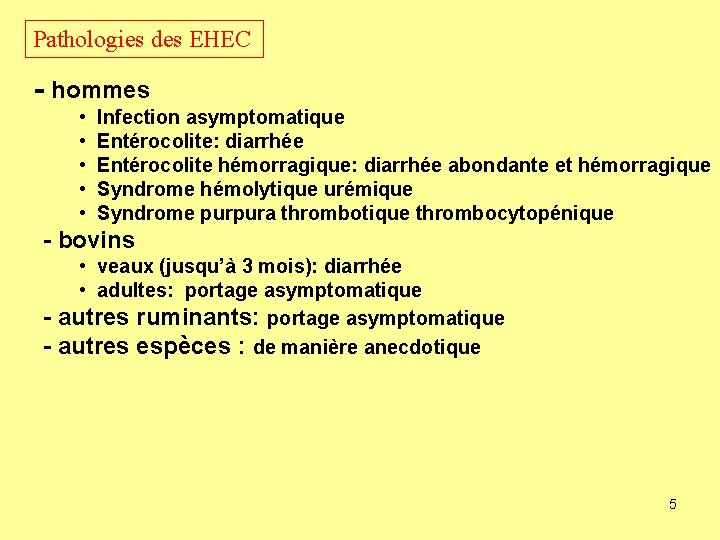 Pathologies des EHEC - hommes • • • Infection asymptomatique Entérocolite: diarrhée Entérocolite hémorragique:
