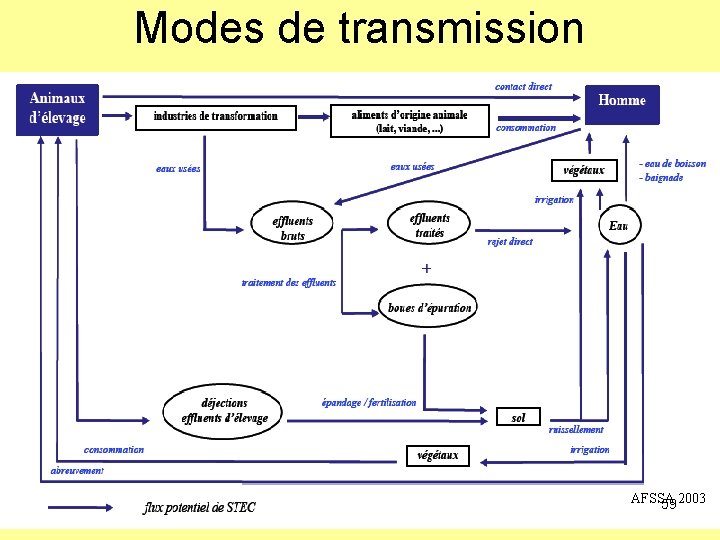 Modes de transmission AFSSA 59 2003 