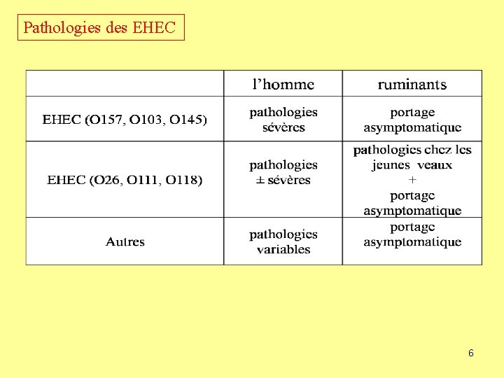 Pathologies des EHEC 6 