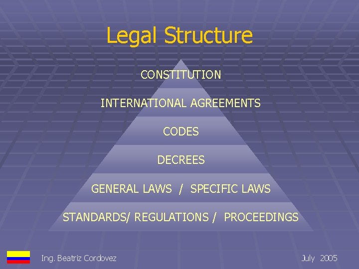 Legal Structure CONSTITUTION INTERNATIONAL AGREEMENTS CODES DECREES GENERAL LAWS / SPECIFIC LAWS STANDARDS/ REGULATIONS