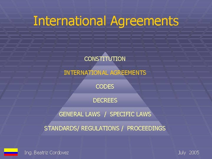 International Agreements CONSTITUTION INTERNATIONAL AGREEMENTS CODES DECREES GENERAL LAWS / SPECIFIC LAWS STANDARDS/ REGULATIONS