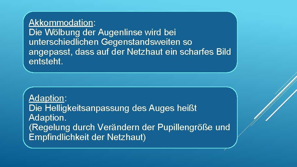 Akkommodation: Die Wölbung der Augenlinse wird bei unterschiedlichen Gegenstandsweiten so angepasst, dass auf der