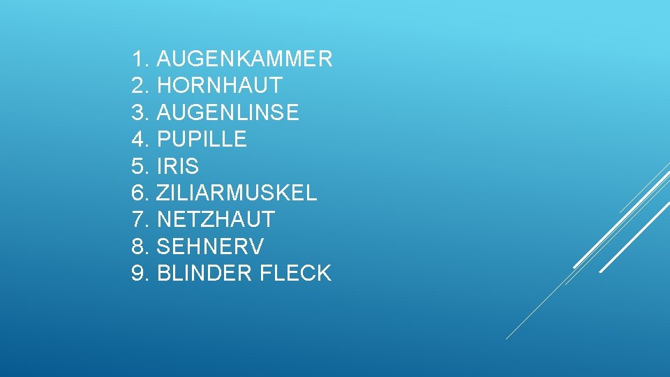 1. AUGENKAMMER 2. HORNHAUT 3. AUGENLINSE 4. PUPILLE 5. IRIS 6. ZILIARMUSKEL 7. NETZHAUT