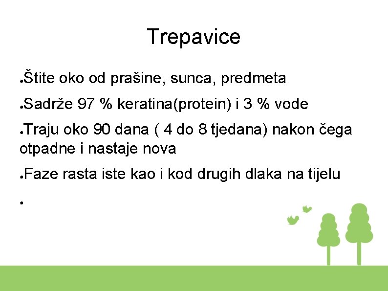 Trepavice ● Štite oko od prašine, sunca, predmeta ● Sadrže 97 % keratina(protein) i