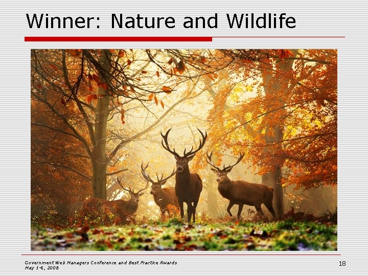 Winner: Nature and Wildlife Government Web Managers Conference and Best Practice Awards May 5