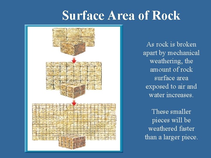 Surface Area of Rock As rock is broken apart by mechanical weathering, the amount
