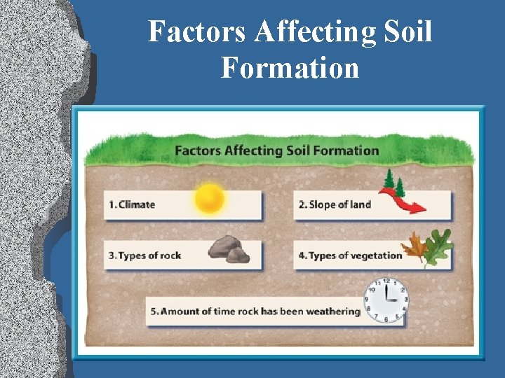 Factors Affecting Soil Formation 